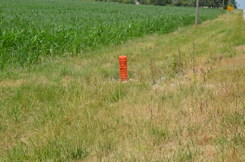 Property photo 1 - 51.5 Acres Offered in 5 tracts, 2 Farm Sites